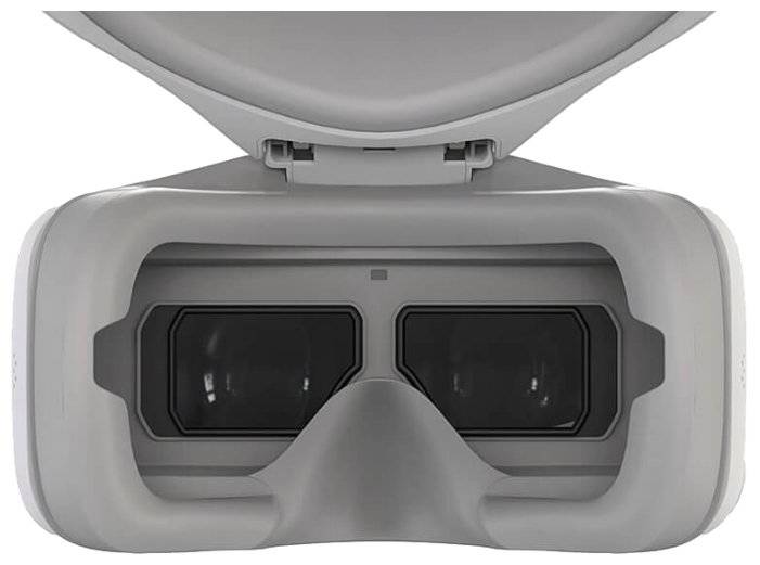 DJI Goggles