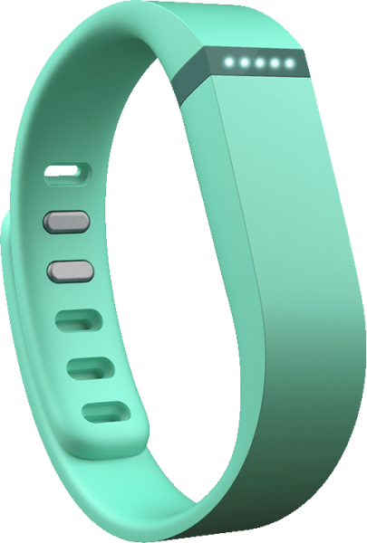 Fitbit  Flex