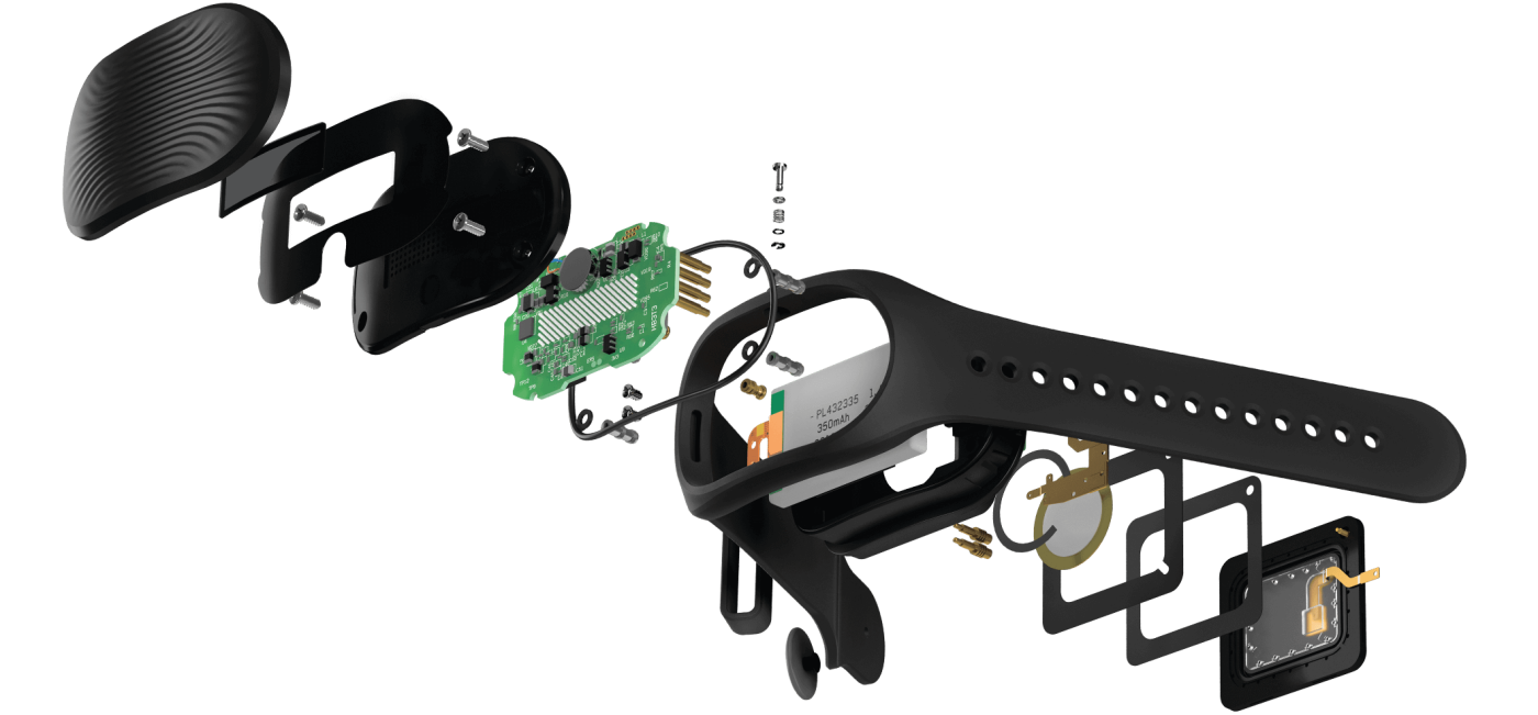 Healbe GoBe 2 - Components