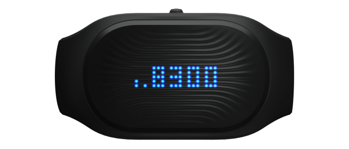 Healbe GoBe 2 - Display