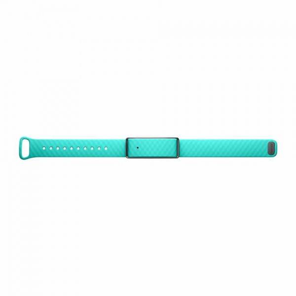 Huawei  Honor Band A1