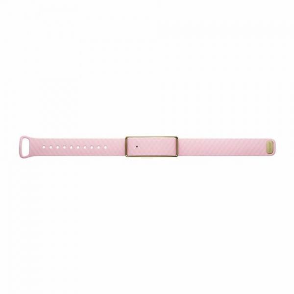 Huawei  Honor Band A1