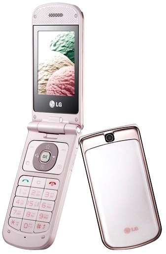 LG GD310