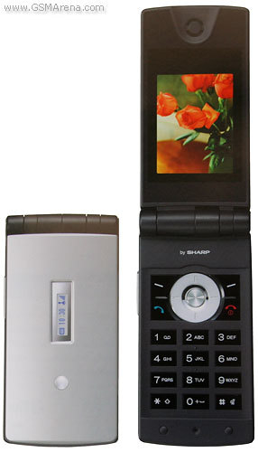 Sharp GX29