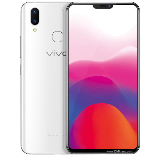 Vivo X21