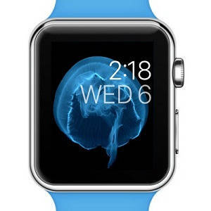 watchOS — Motion